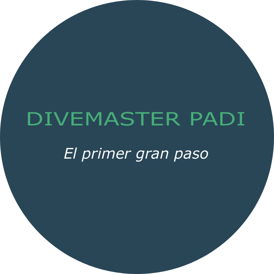 Divemaster PADI - Thayany Mesa Moraes