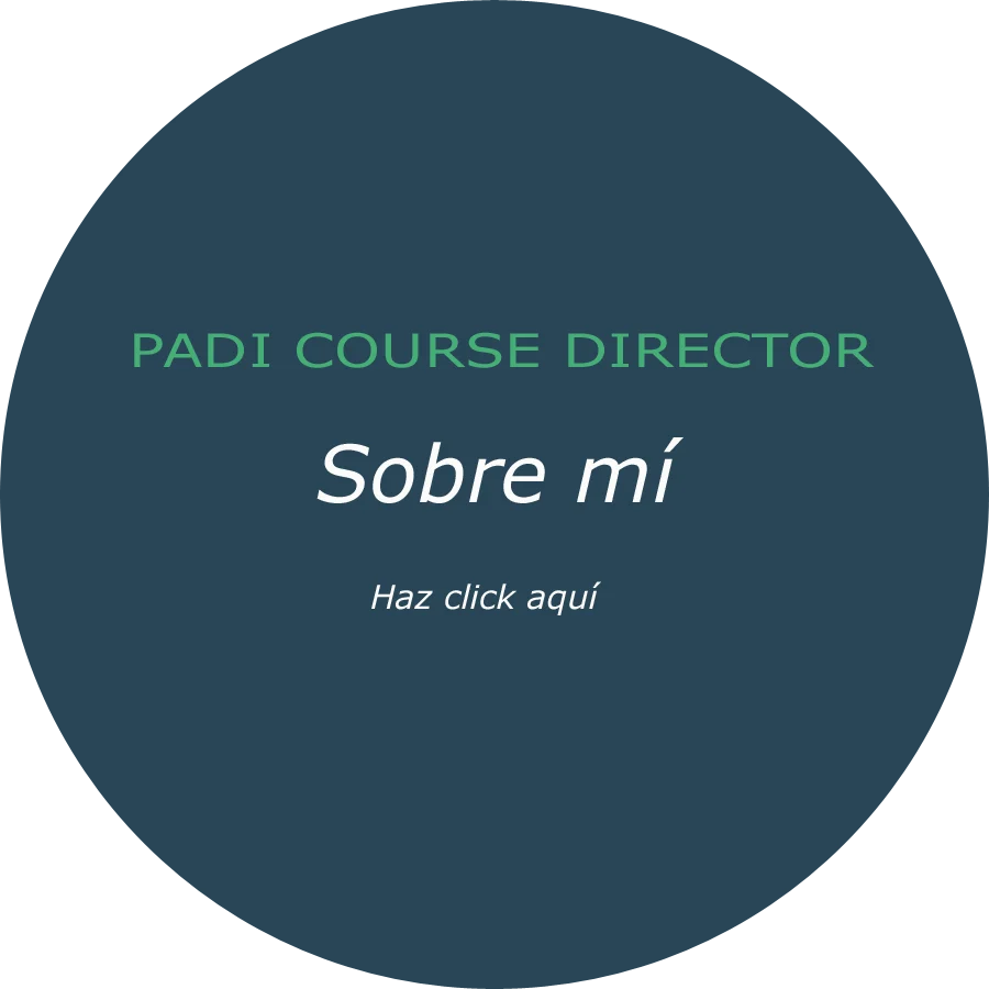 About Thayany Mesa Moraes - PADI IDC Instructor